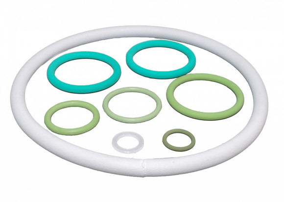 Gasket set pump and tank Viton Spray-Matic 10 B