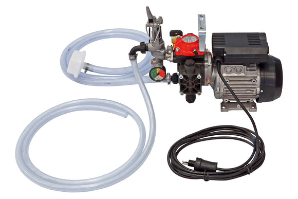 Electric powered pump (230 V) with pump AR 252 *